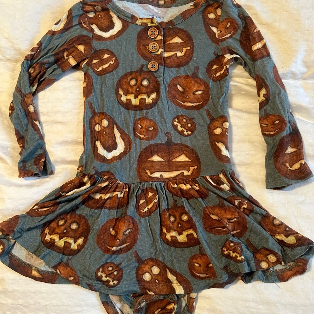 Posh Peanut pumpkin long sleeve twirl.  EUC 2T
